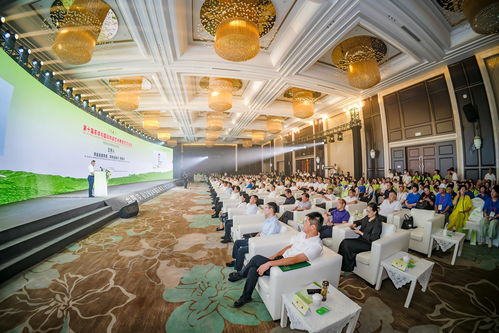 2024四川自貢榮縣國際陶茶文化藝術活動周開幕，共促文化交流與產業發展